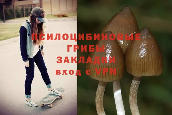 mdma Гусь-Хрустальный